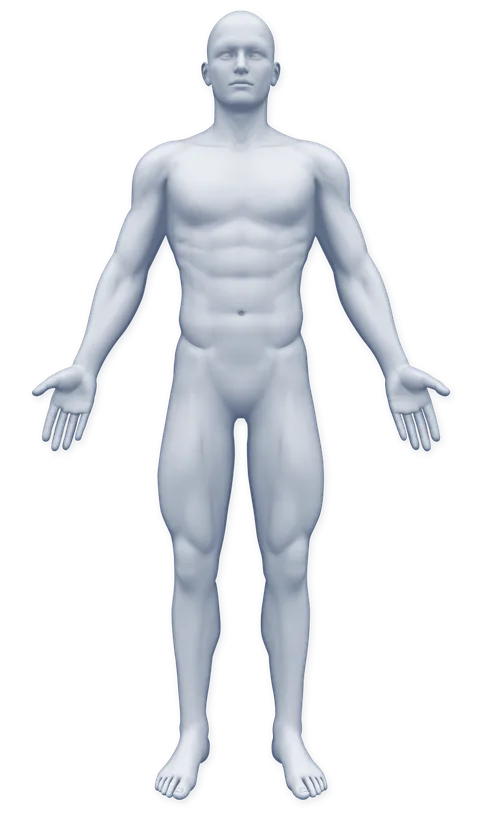 Mapa del cuerpo: elige tu zona