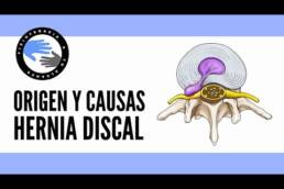 Hernia discal , por que se produce, causa mas importante por la que aparecen