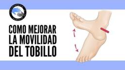 ¿Por que la movilidad del tobillo es tan importante? ejercicios para mejorarla