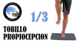 Ejercicios propiocepcion de tobillo