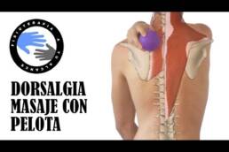 Dorsalgia o dolor dorsal, masaje con pelota