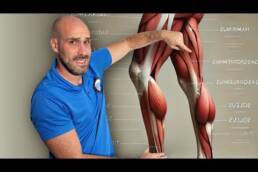 4 EJERCICIOS para ALIVIAR el dolor en ARTROSIS de RODILLA