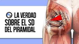 La verdad anatomica del sindrome del piramidal
