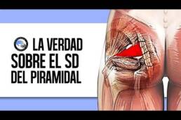 La verdad anatomica del sindrome del piramidal