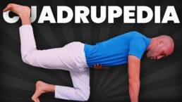 7 EJERCICIOS en CUADRUPEDIA para ALIVIAR tu ESPALDA y GANAR FUERZA
