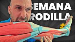 DIA 2 – SEMANA DE LA RODILLA