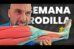DIA 2 – SEMANA DE LA RODILLA