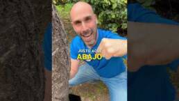 La fórmula REAL para ELIMINAR el dolor de espalda