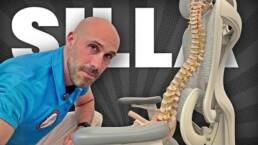 LO QUE LA CIENCIA DICE sobre SENTARSE MAL (y cómo evitarlo SIN levantarte de la silla)