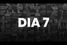 DIA 7 – SEMANA DEL HOMBRO