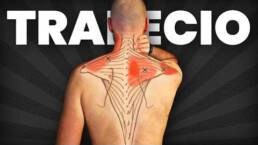 ELIMINA EL DOLOR DE TRAPECIO CON ESTOS 3 EJERCICIOS (NO ES ESTIRAR)