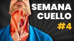 DIA 4 – SEMANA DEL CUELLO