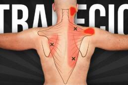 3 EJERCICIOS para eliminar el dolor de TRAPECIO y cuello para SIEMPRE