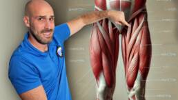 4 EJERCICIOS para ALIVIAR el dolor en ARTROSIS de RODILLA