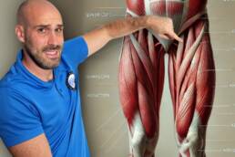 4 EJERCICIOS para ALIVIAR el dolor en ARTROSIS de RODILLA