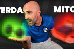 6 MITOS sobre el DOLOR de ESPALDA que la CIENCIA ya desmiente