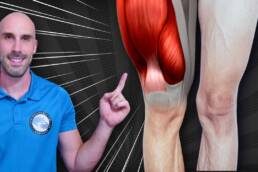 Como FORTALECER las piernas SIN DAÑAR LAS RODILLAS