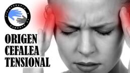 Dolor de cabeza, 4 musculos que debes conocer