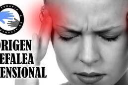 Dolor de cabeza, 4 musculos que debes conocer