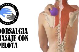 Dorsalgia o dolor dorsal, masaje con pelota