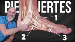 EJERCICIOS para FORTALECER los PIES en adultos mayores