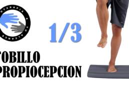 Ejercicios propiocepcion de tobillo
