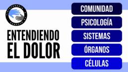 Entendiendo el dolor y sus diferentes niveles