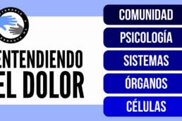 Entendiendo el dolor y sus diferentes niveles