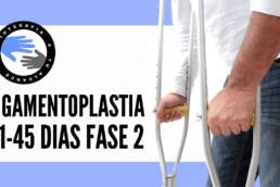 FASE 2: Ligamentoplastia rehabilitacion para la operacion del ligamento cruzado anterior o lca