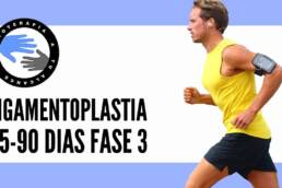 FASE 3: Ligamentoplastia rehabilitacion para la operacion del ligamento cruzado anterior o lca