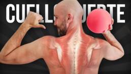 FORTALECE el CUELLO sin usar los BRAZOS con BALÓN