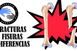 Fractura y fisura, diferencias, definicion y fases de consolidacion