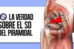 La verdad anatomica del sindrome del piramidal
