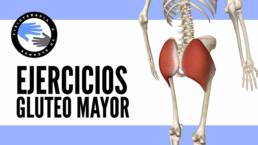 Los 5 mejores ejercicios para trabajar el gluteo mayor