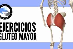Los 5 mejores ejercicios para trabajar el gluteo mayor