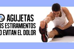 No, los estiramientos después de hacer ejercicio no reducen las agujetas
