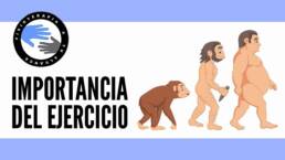 Por que el ejercicio es tan importante para la salud