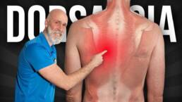 RTINA de EJERCICIOS para la DORSALGIA en adultos mayores SENTADO