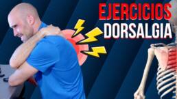 RUTINA de ejercicios para la DORSALGIA SENTADO