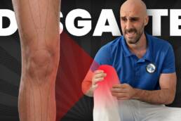 RUTINA para DOLOR de RODILLA: Movilidad, FUERZA y estabilidad para evitar el desgaste