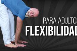 RUTINA para GANAR FLEXIBILIDAD en adultos mayores