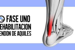 Rotura del tendon de aquiles, ejercicios y rehabilitacion postcirugia en la fase aguda