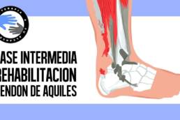 Rotura del tendon de aquiles, ejercicios y rehabilitacion postcirugia en la fase intermedia