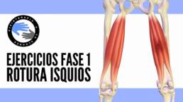 Rotura fibrilar de los isquiotibiales, ejercicios y tratamiento para la fase 1