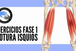 Rotura fibrilar de los isquiotibiales, ejercicios y tratamiento para la fase 1