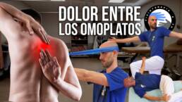 Rutina de 5 ejercicios para el dolor entre los omoplatos