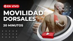 Rutina de MOVILIDAD para DORSALES sentado – En vivo 20 minutos