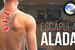 Rutina de ejercicios para la escapula alada