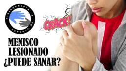 Una rotura de menisco, ¿puede curarse por si sola?