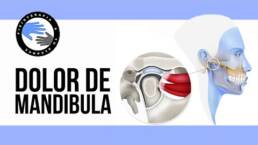 Pectoral anatomia y estiramiento